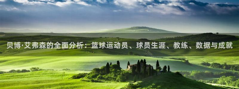南宫NG体育凯捷平台主管：贝博·艾弗森的全面分析：篮球运动员、球员生涯、教练、数