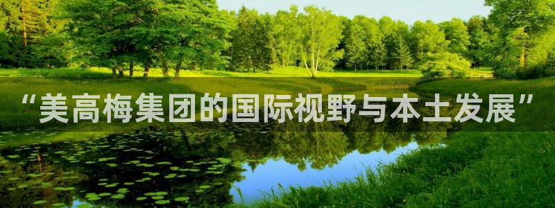 南宫NG体育4：“美高梅集团的国际视野与本土发展”