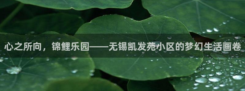 南宫NG体育平台总代理：心之所向，锦鲤乐园——无锡凯发苑小区的梦幻生活画卷