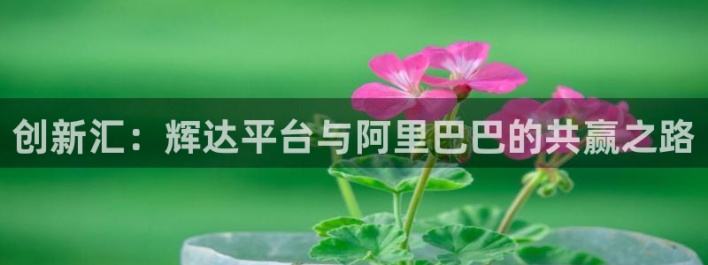 南宫NG体育免费注册入口：创新汇：辉达平台与阿里巴巴的共赢之路