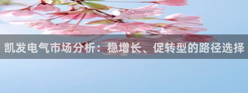 南宫NG集团：凯发电气市场分析：稳增长、促转型的路径选择