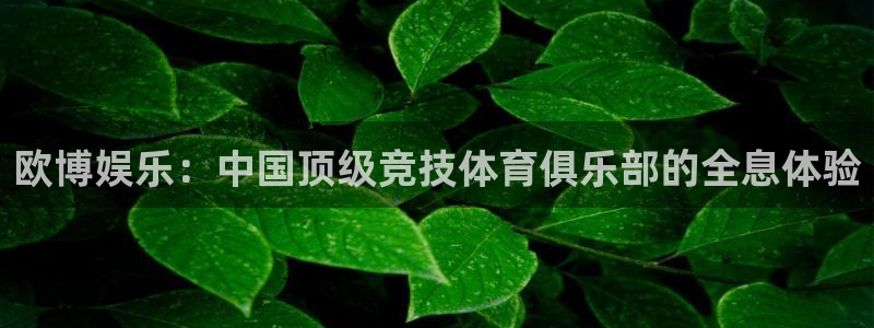 南宫NG体育官网：欧博娱乐：中国顶级竞技体育俱乐部的全息体验