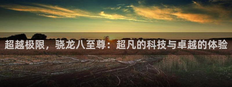 上海南宫NG汽车电子有限公司：超越极限，骁龙八至尊：超凡的科技与卓越的体验