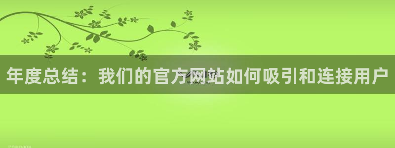 南宫NG.ccm：年度总结：我们的官方网站如何吸引和连接用户