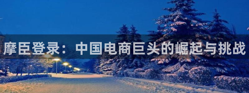 南宫NGccm麻将胡了：摩臣登录：中国电商巨头的崛起与挑战