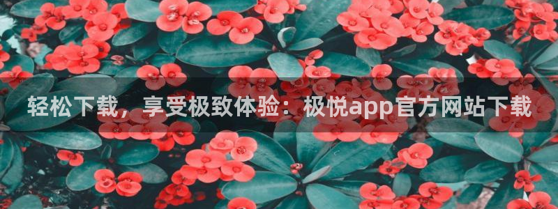 南宫NGf凯捷注册：轻松下载，享受极致体验：极悦app官方网站下载