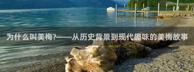南宫NG注册网站app：为什么叫美梅?——从历史背景到现代趣味的美梅故事