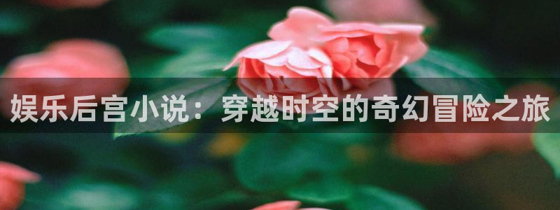 南宫NG凯捷平台注册链接：娱乐后宫小说：穿越时空的奇幻冒险之旅