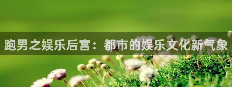 南宫NG链接：跑男之娱乐后宫：都市的娱乐文化新气象