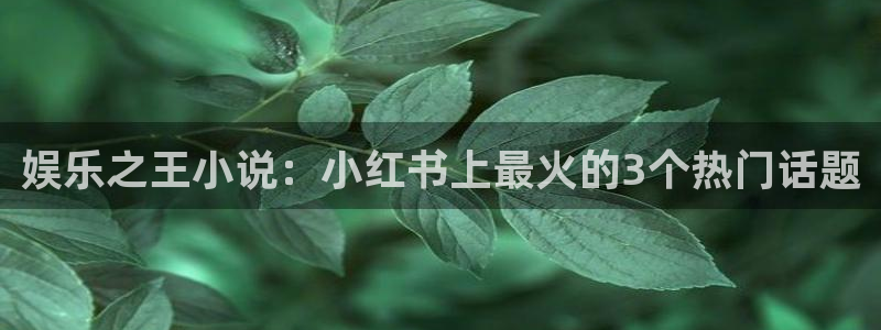 南宫NG网站平台：娱乐之王小说：小红书上最火的3个热门话题