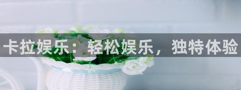南宫NG零能源集团：卡拉娱乐：轻松娱乐，独特体验