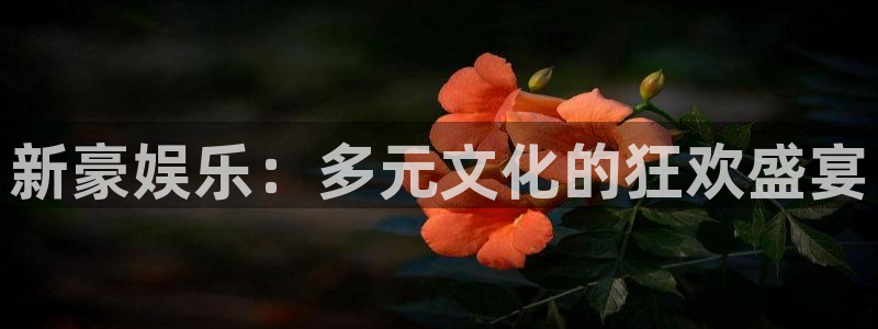 南宫NG体育f开号：新豪娱乐：多元文化的狂欢盛宴