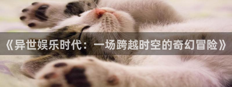 南宫NG加拿大在线预测：《异世娱乐时代：一场跨越时空的奇幻冒险》