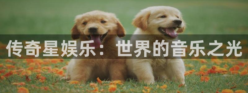 南宫NG平台注册：传奇星娱乐：世界的音乐之光