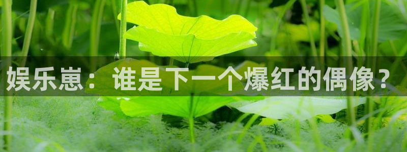 南宫NG体育平台登录入口：娱乐崽：谁是下一个爆红的偶像？