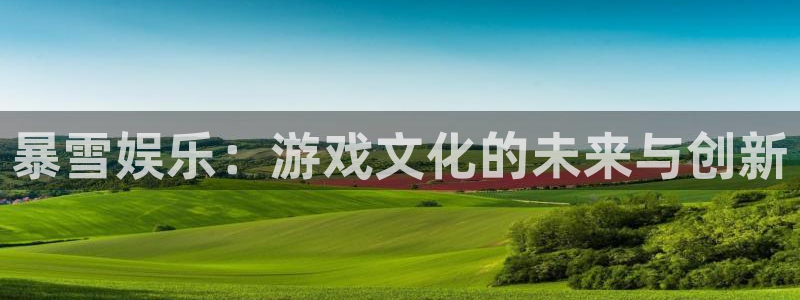 南宫NG平台官方入口：暴雪娱乐：游戏文化的未来与创新