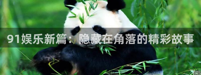 南宫NG游app