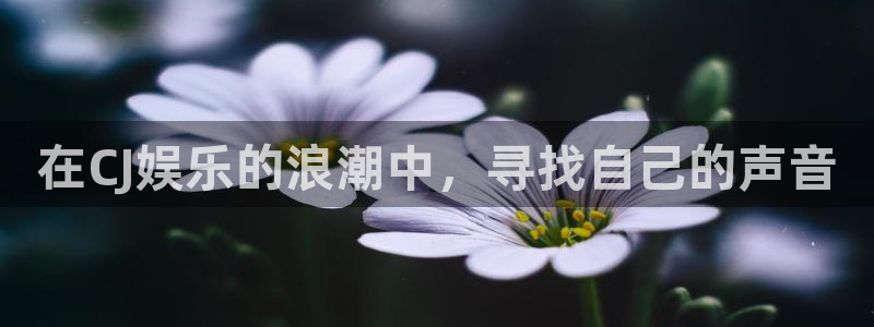 南宫NG3平台注册：在CJ娱乐的浪潮中，寻找自己的声音