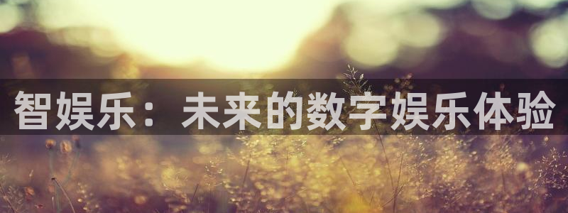 南宫NG平台招商