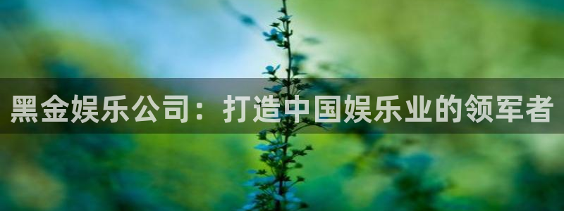 南宫NG体育2：黑金娱乐公司：打造中国娱乐业的领军者