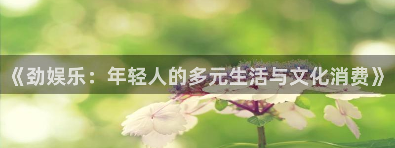 南宫NG体育免费注册入口：《劲娱乐：年轻人的多元生活与文化消费》
