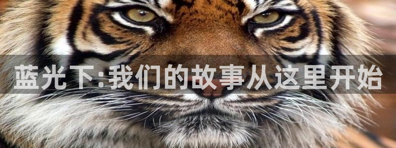 南宫NG平台招商：蓝光下:我们的故事从这里开始